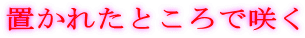 �u���ꂽ�Ƃ���ō炭